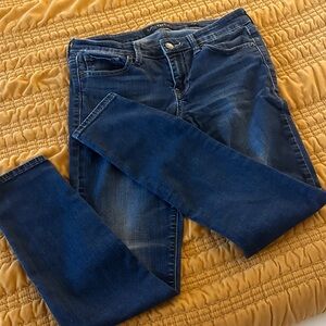 Lucky Brand Dark Blue Women's Skinny Jeans